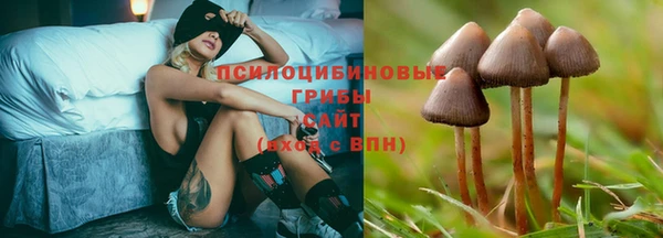 таблы Ладушкин