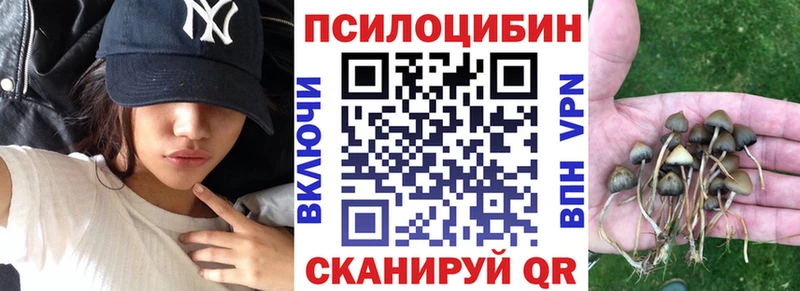 Галлюциногенные грибы Psilocybine cubensis  сколько стоит  Шарыпово 